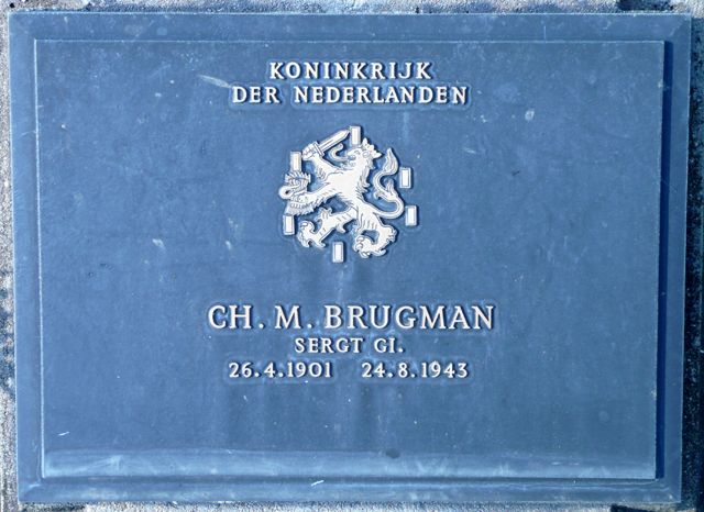 Brugman.C.M.2008.jpg