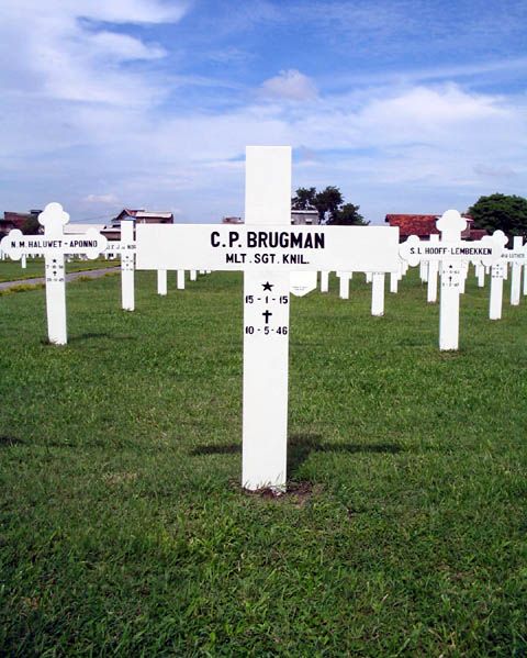 brugman.c.p.2005.jpg