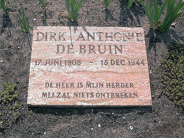 bruin.de.d.a.2004.jpg