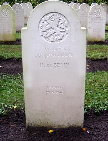 Bruin de H.jpg