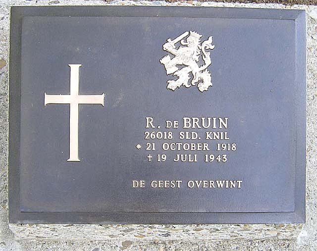 bruin.r.de.2007.jpg