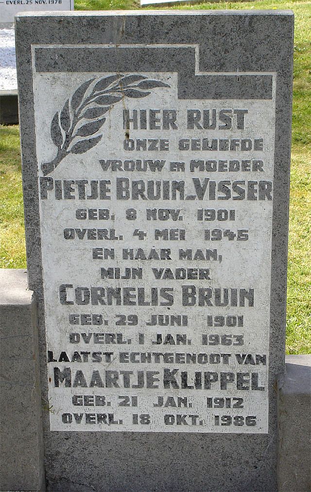 bruin-visser.2008.jpg