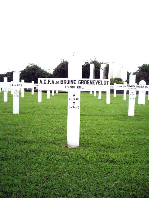 bruine.groeneveldt.de.a.c.f.a.2005.jpg