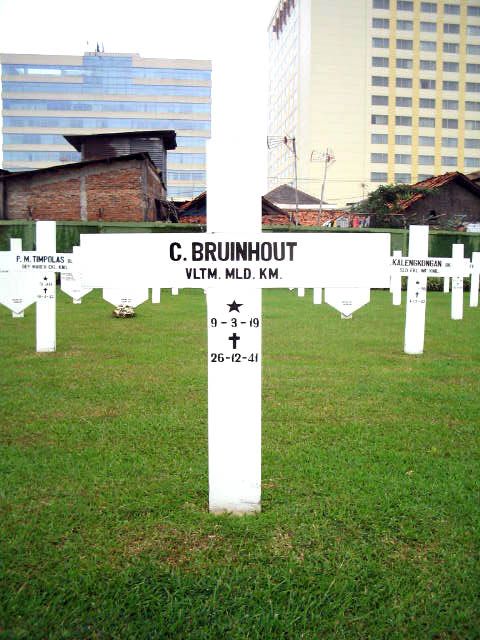 bruinhout.c.2005.jpg