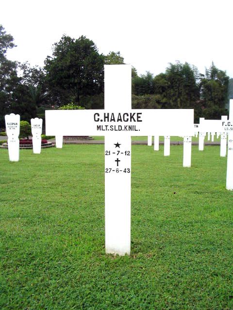 haacke.c.2005.jpg