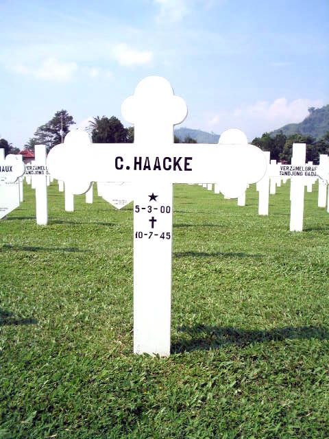 haacke.c.2005(1).jpg