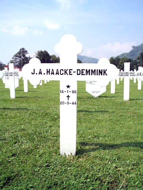 haacke.demmink.j.a.2005.jpg