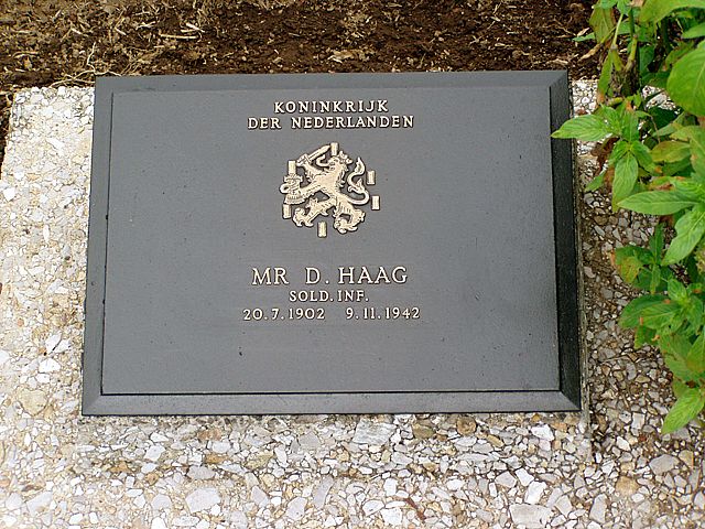 haag.d.2006.jpg