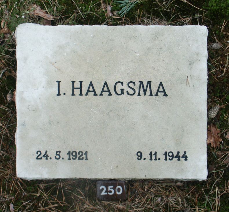 haagsma.i.jpg