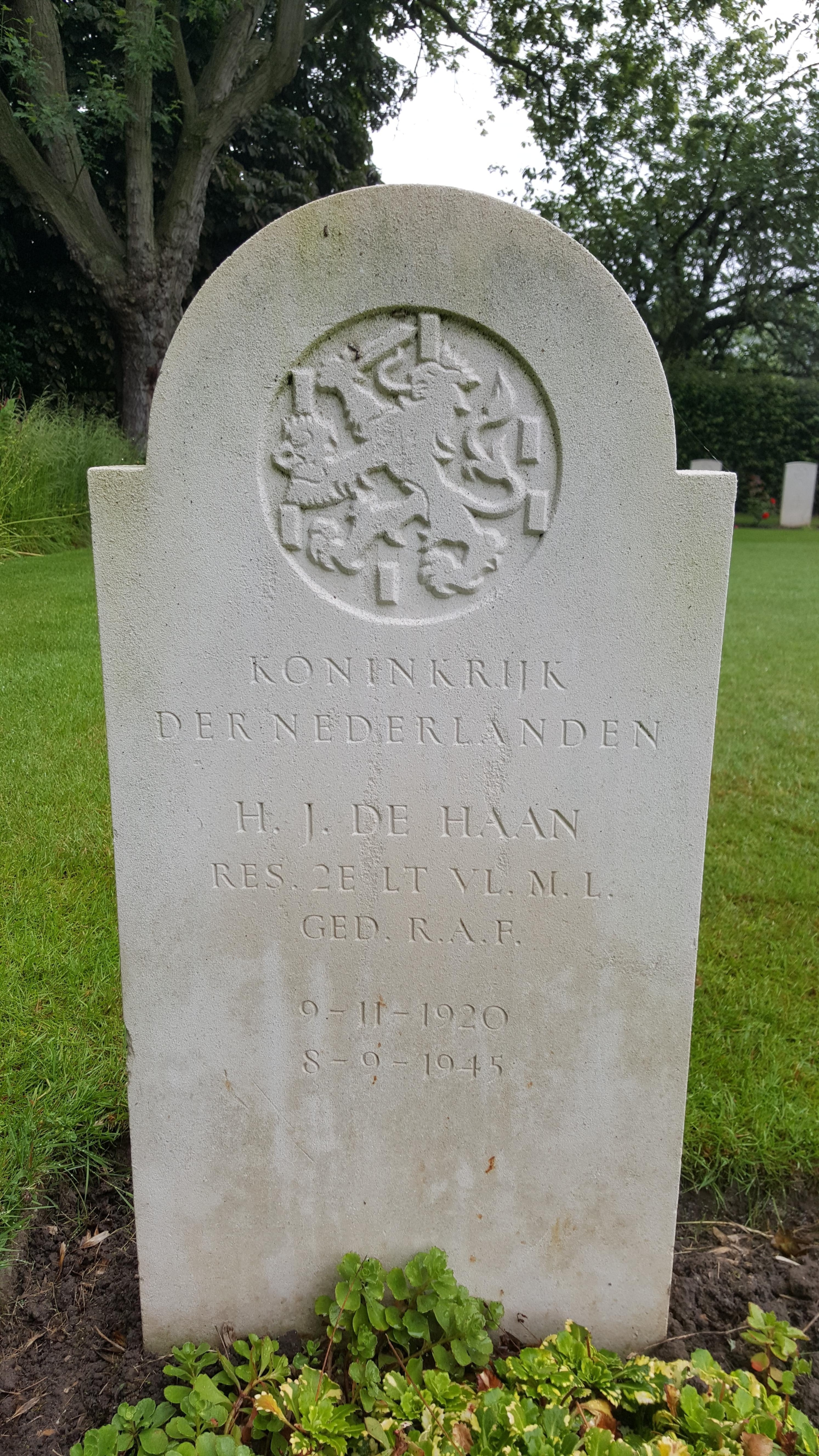 1563503618_99105.jpg