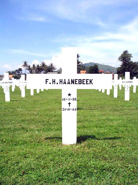 haanebeek.f.h.2005.jpg