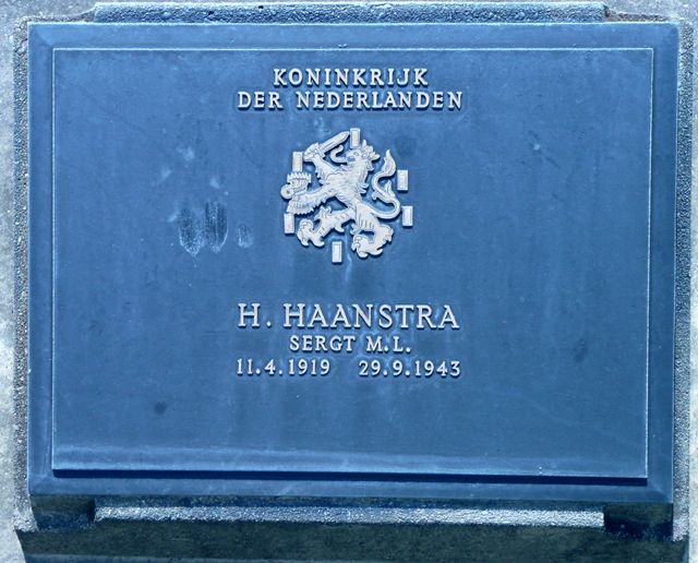 Haanstra.H.2008.jpg