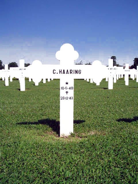 haaring.c.2005.jpg