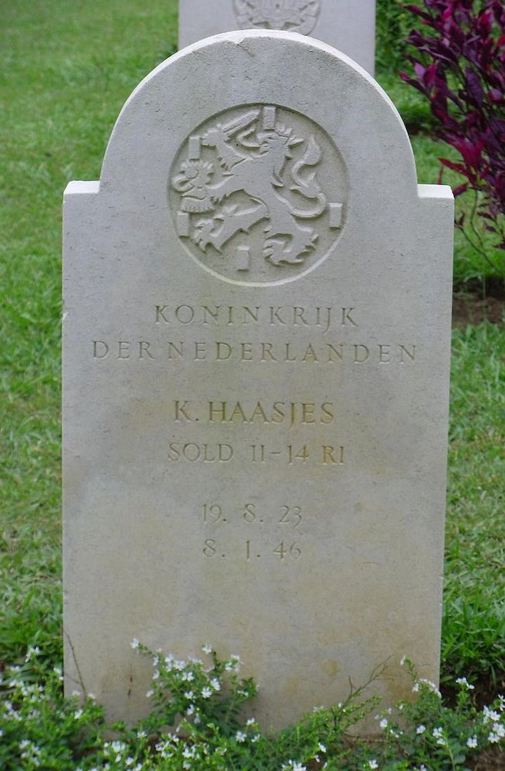 haasjes.k.2011.jpg