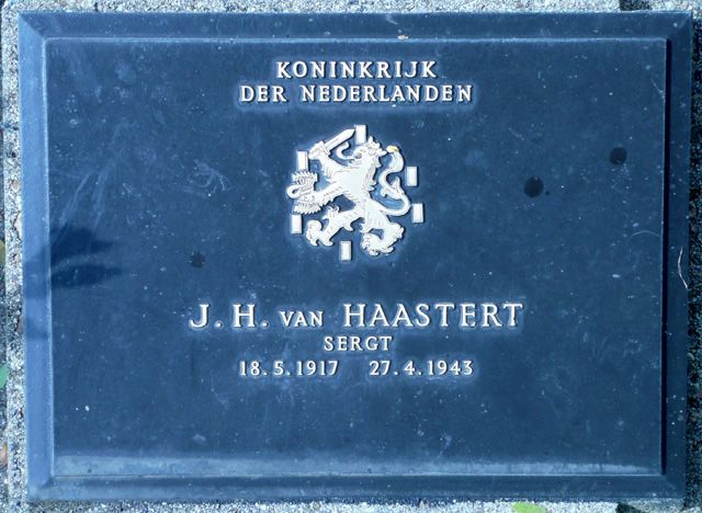 Haastert.J.H.van.2008.jpg