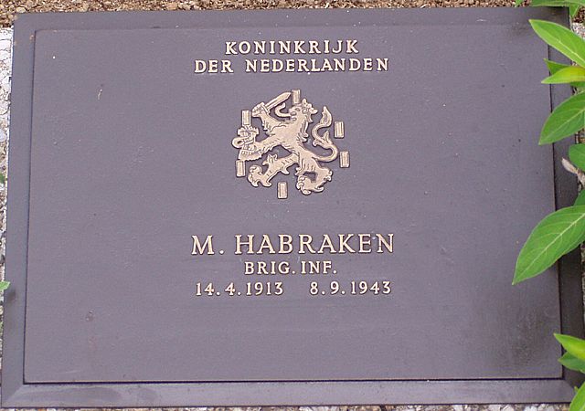 habraken.m.2006.jpg