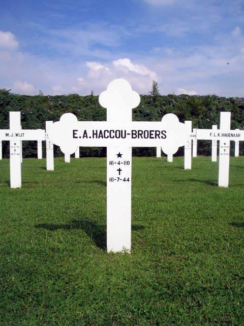 haccou.broers.e.a.2005.jpg
