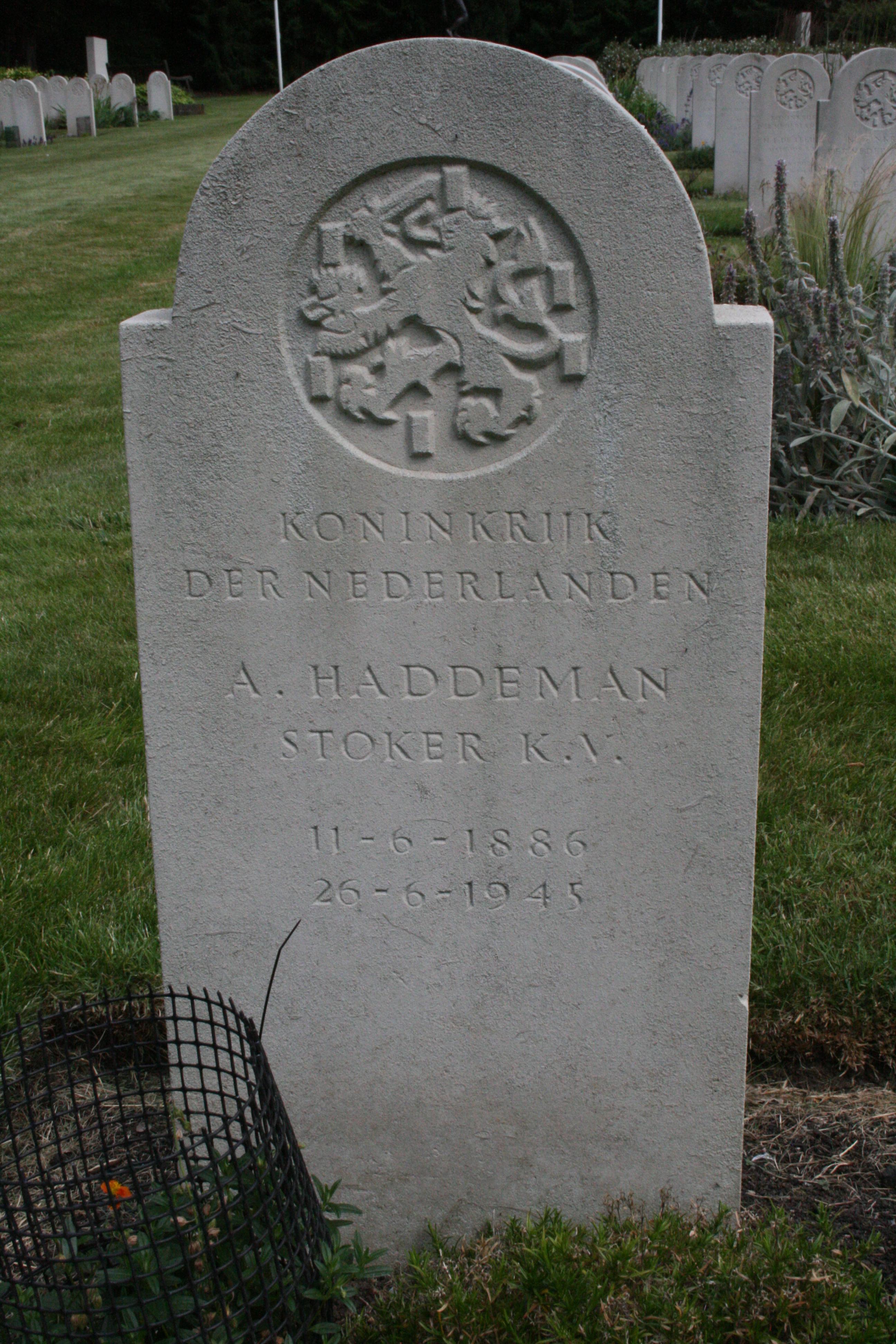 1565671753_36291.JPG