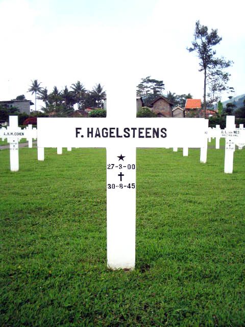 hagelsteens.f.2005.jpg