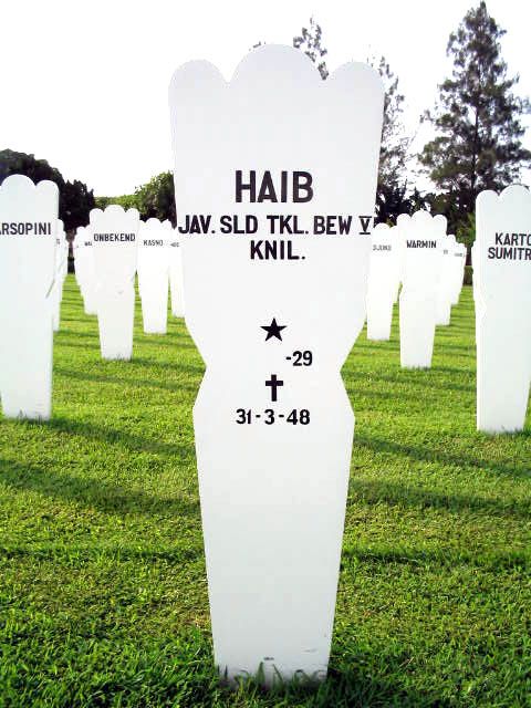 haib.2004.jpg