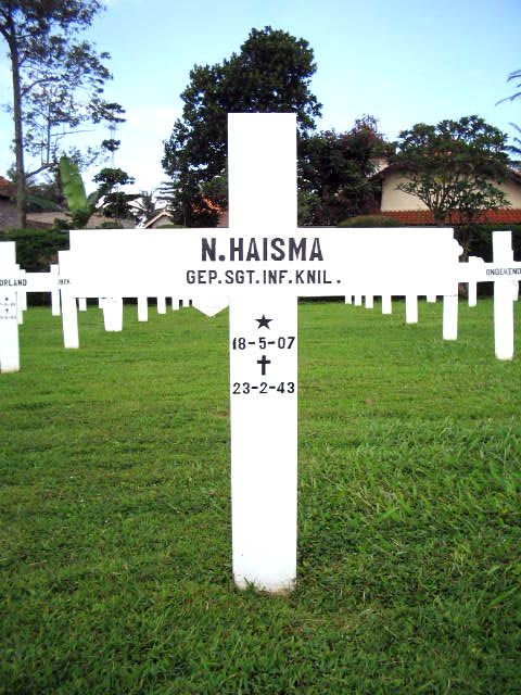 haisma.n.2005.jpg