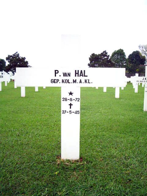 hal.van.p.2005.jpg