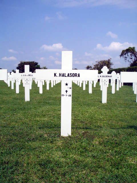 halasora.k.2005.jpg
