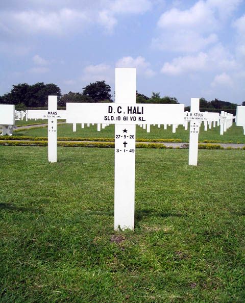 hali.d.c.2005.jpg