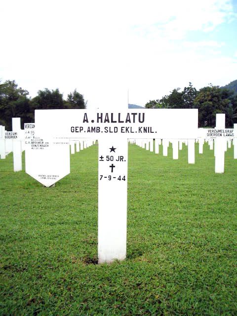 hallatu.a.2005.jpg