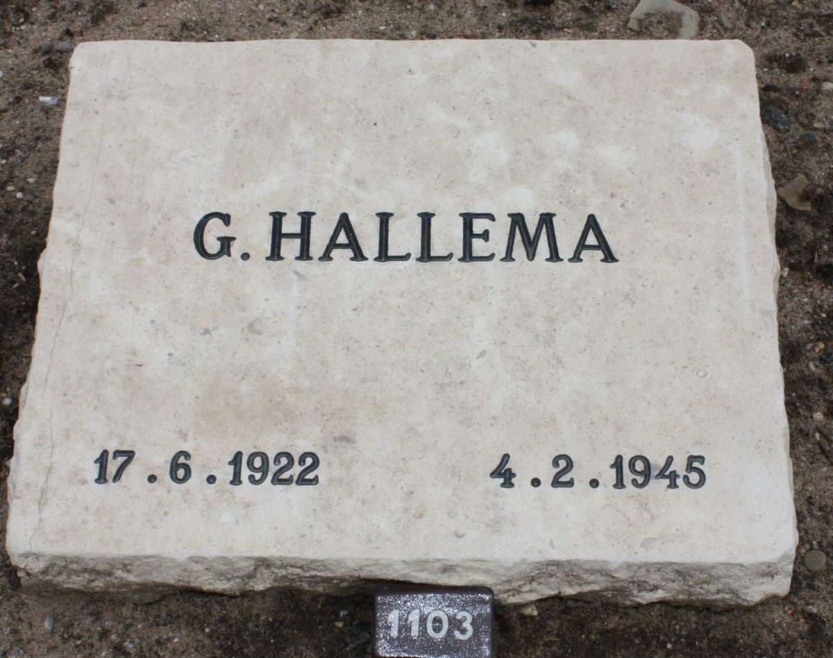 hallema.g.2009.jpg