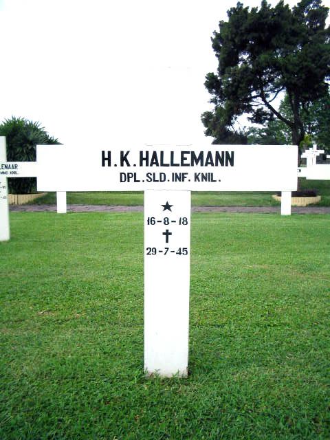 hallemann.h.k.2005.jpg