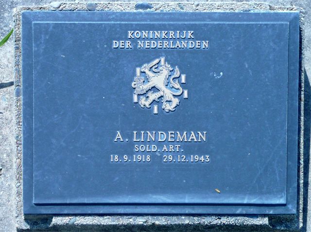 Lindeman.A.2008.jpg
