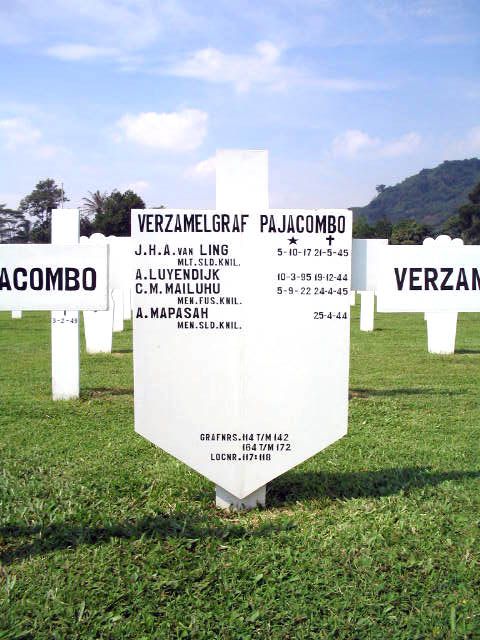 ling.van.j.h.a.2005.jpg