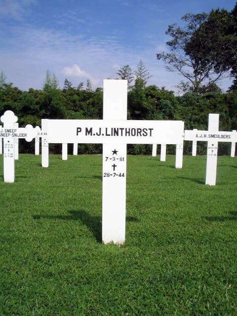 linthorst.p.m.j.2005.jpg