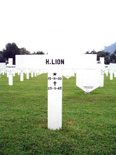 lion.h.2005.jpg