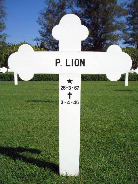 lion.p.2004.jpg
