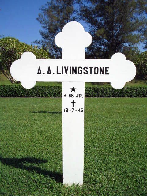livingstone.a.a.2004.jpg