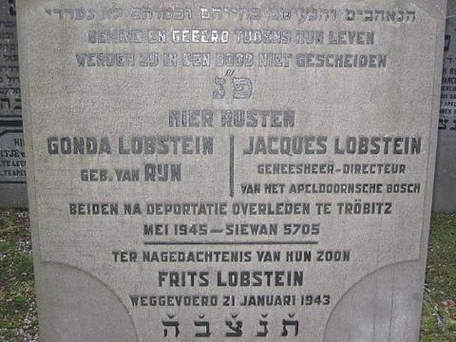 lobstein-van.rijn.2008.jpg