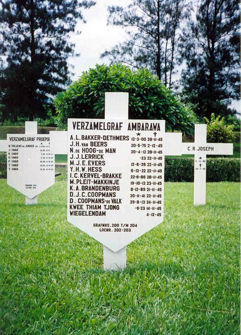 verzamelgr.2004.jpg