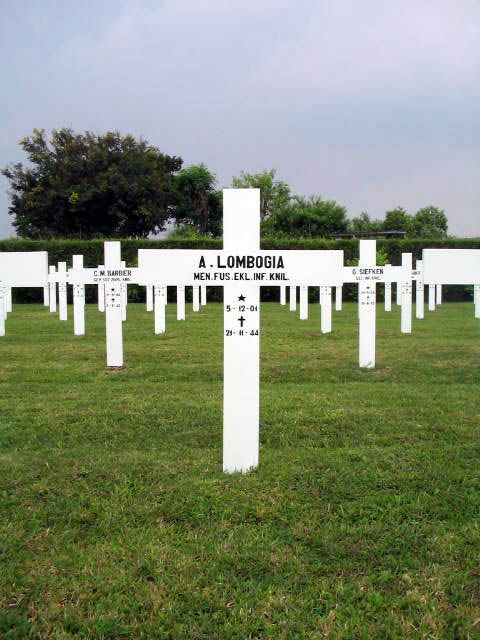 lombogia.a.2005.jpg