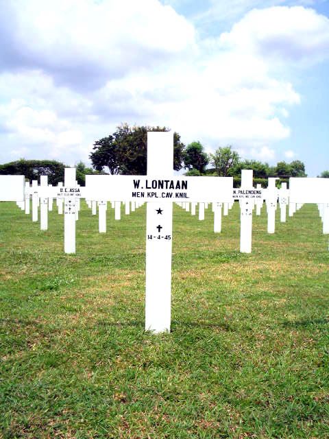 lontaan.w.2005.jpg