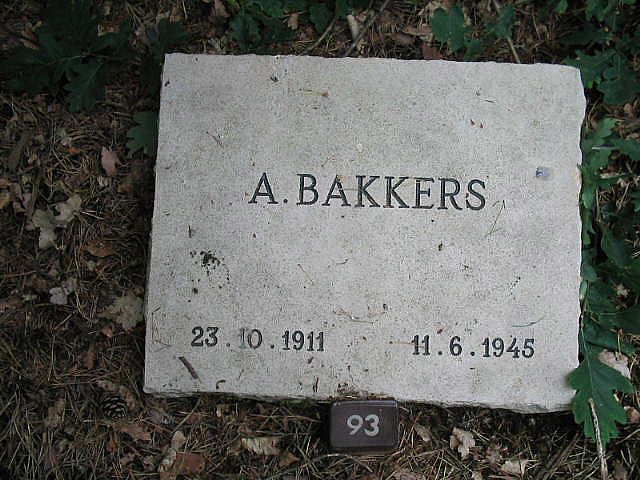 A.Bakkers.jpg