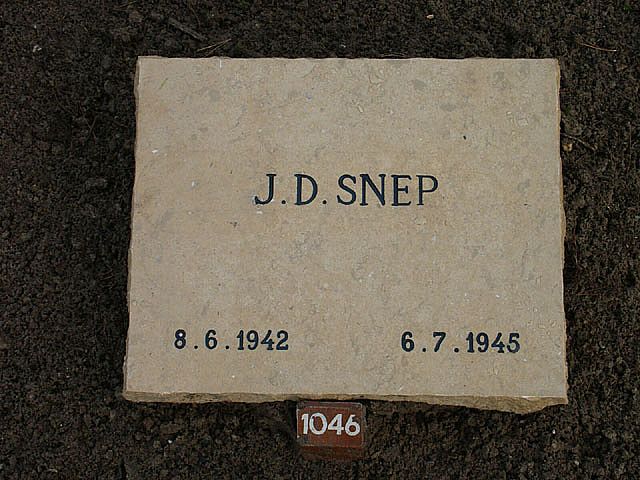 snep.j.d.2008.jpg