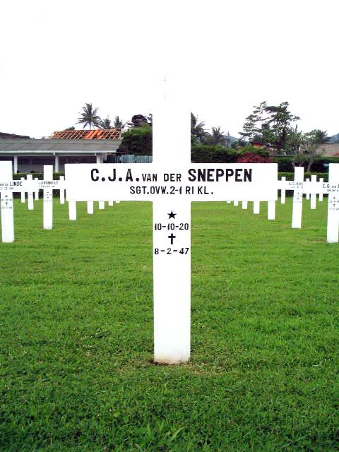 sneppen.v.der.c.j.a.2005.jpg