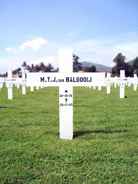balgooij.van.m.t.j.2005.jpg