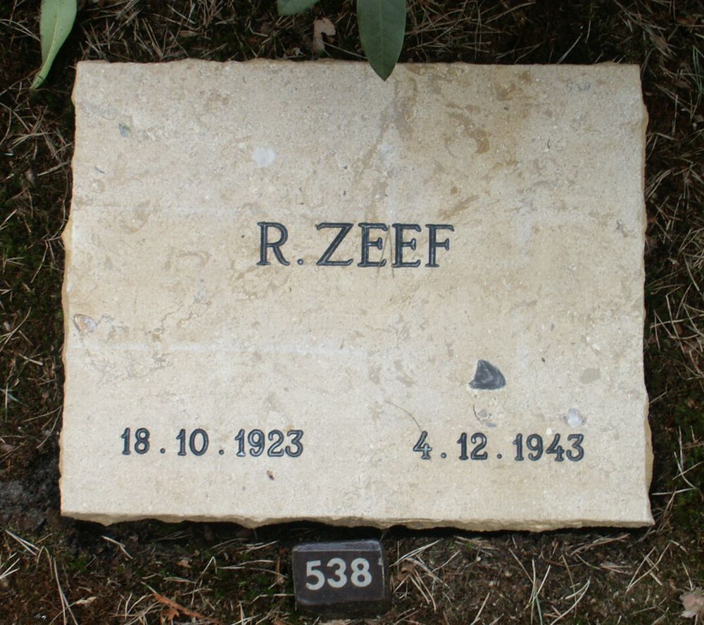 zeef.r.2006.jpg