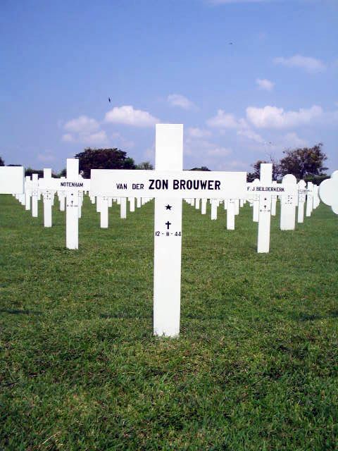 zon.v.der.brouwer.2005.jpg