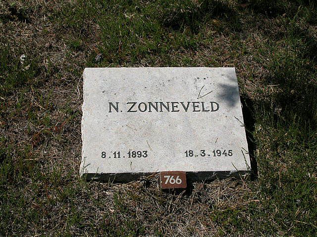 N.zonneveld.jpg