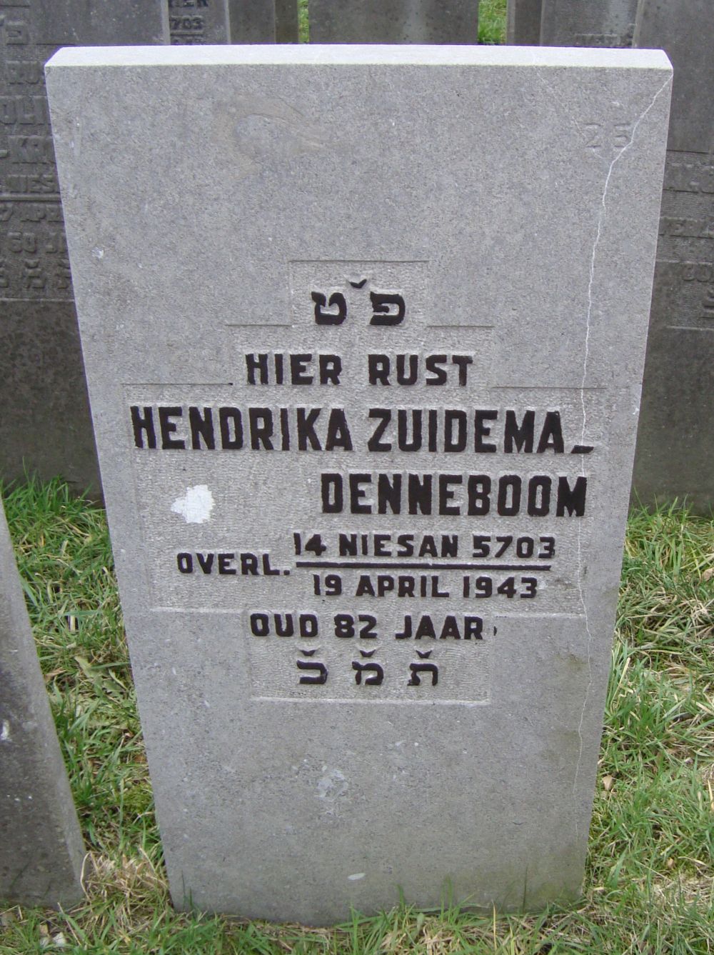 zuidema-denneboom.jpg