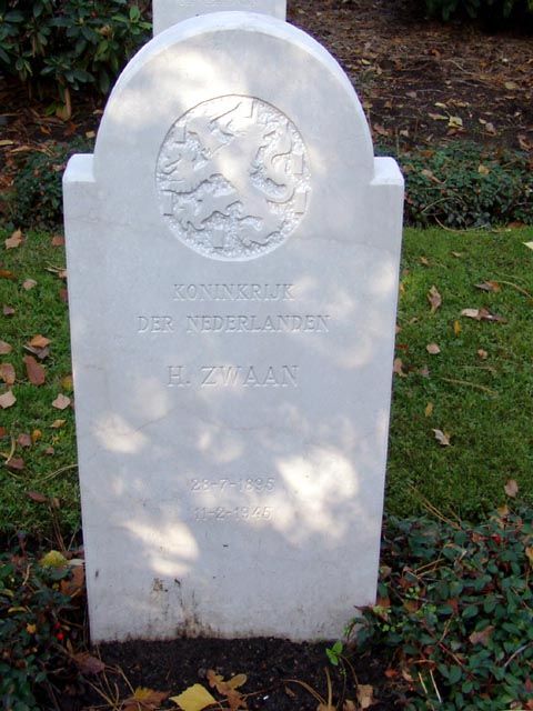 Zwaan H.jpg